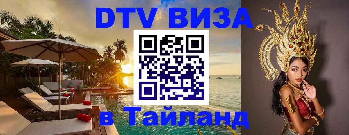 Сколько стоит DTV виза — актуальные цены, оформление даже без документов - 19.11.2025 